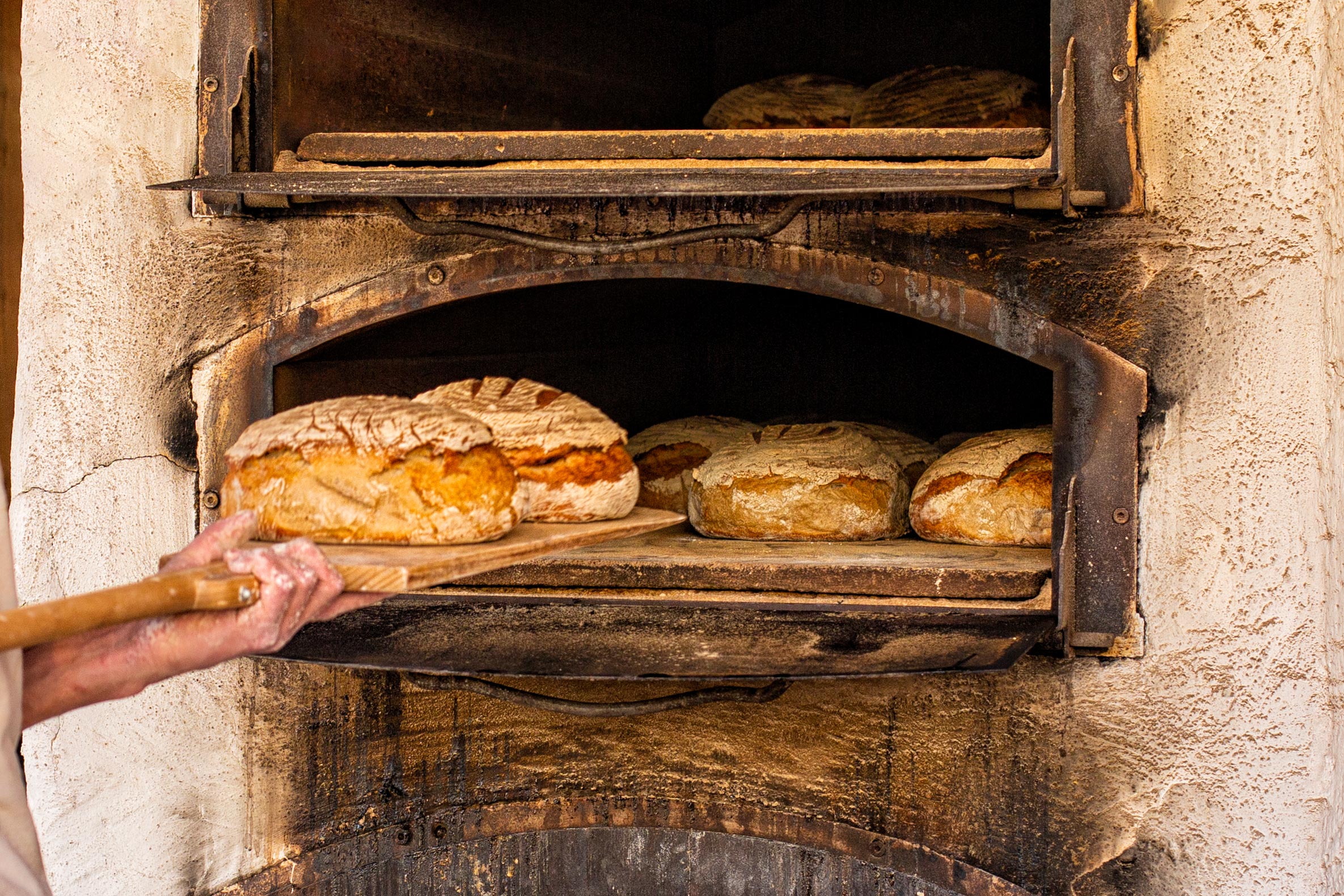 Pain artisanal cuit au four chez La Douce Mie. Notre histoire de boulangerie 